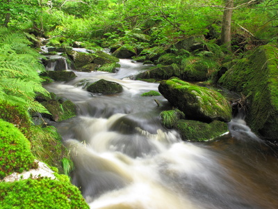 Wasserfall