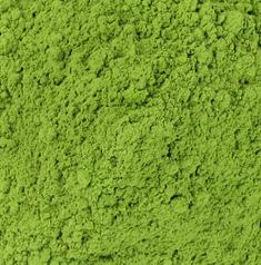 matcha