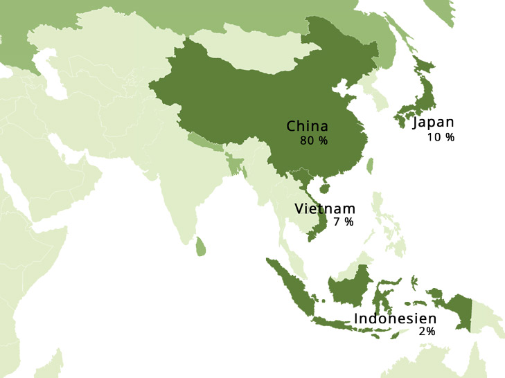 Production-mondiale-the-vert