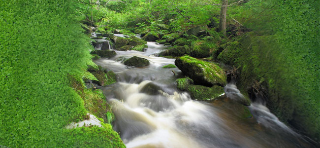 Qualité de l’eau