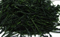 gyokuro-785x360