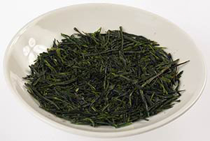 sencha-the-vert