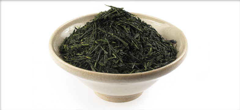 Préparer le Sencha