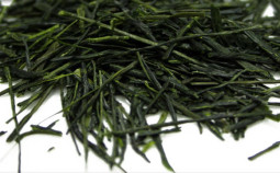 the-vert-sencha-785x360