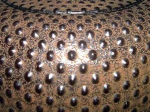Motif 